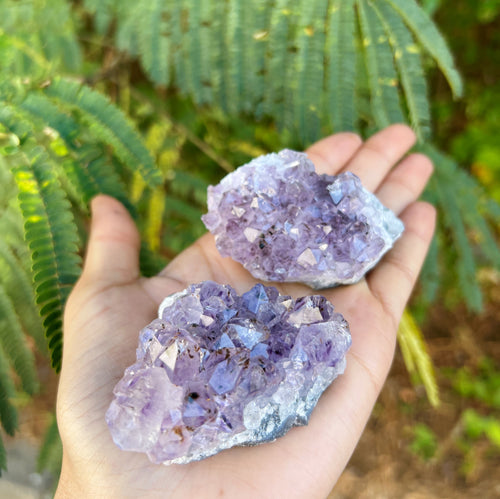 Amethyst Crystal Clusters